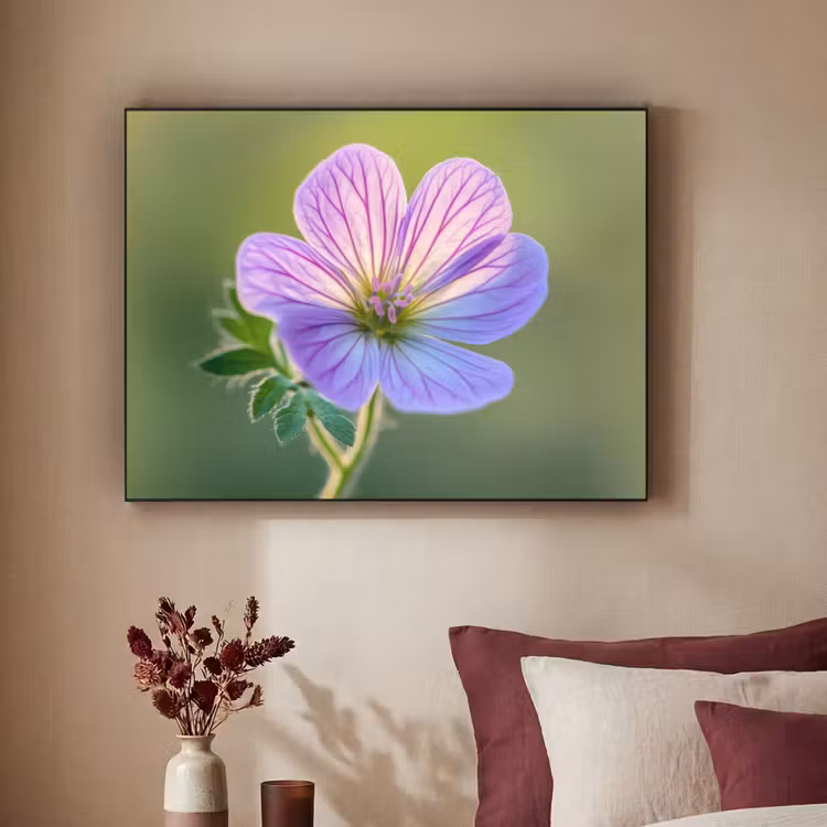 Bloem - Close up - Paars Textielframe zwart klein -sfeer1
