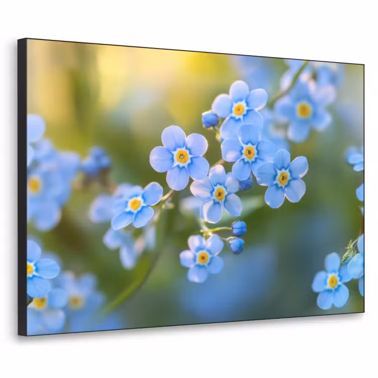 Bloemetjes - Blauw - Vergeet mij nietjes Textielframe - compleet frame klein -3d