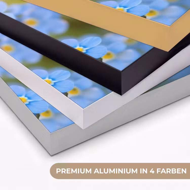 Bloemetjes - Blauw - Vergeet mij nietjes Textielframe zwart klein -USP_kleurenDE