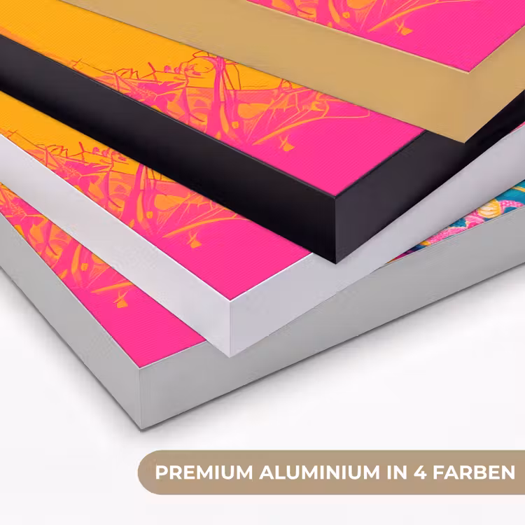 Bloemen - Vrouw - Kimono - Roze Textielframe zwart klein -USP_kleurenDE