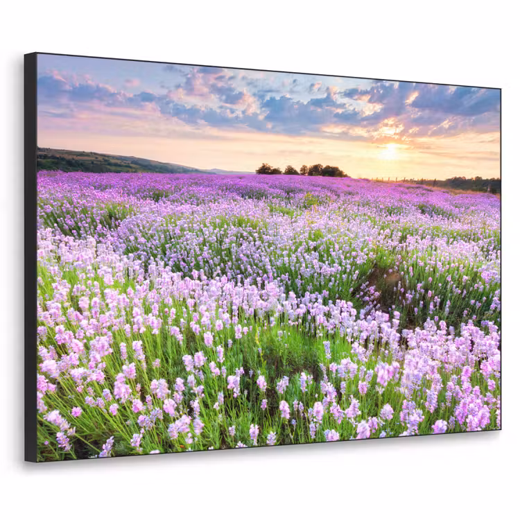 Bloemen - Lavendel - Paars - Lucht - Zonsondergang - Weide - Natuur Textielframe zwart klein -3d