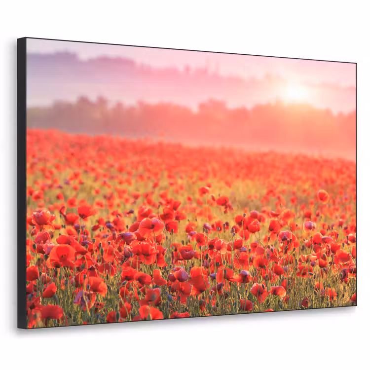 Bloemen - Klaprozen - Rood - Bloemenveld Textielframe zwart klein -3d