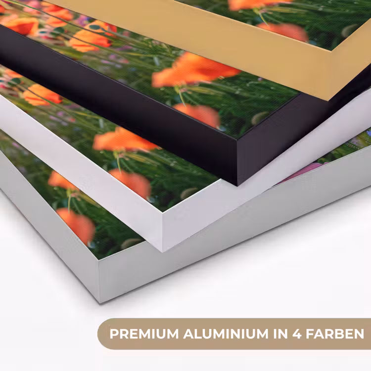Bloemen - Klaprozen - Kleurrijk - Natuur Textielframe zwart klein -USP_kleurenDE