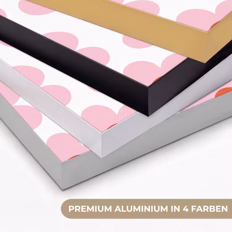 Bloemen - Patroon - Modern - Roze - Wit Textielframe zwart klein -USP_kleurenDE