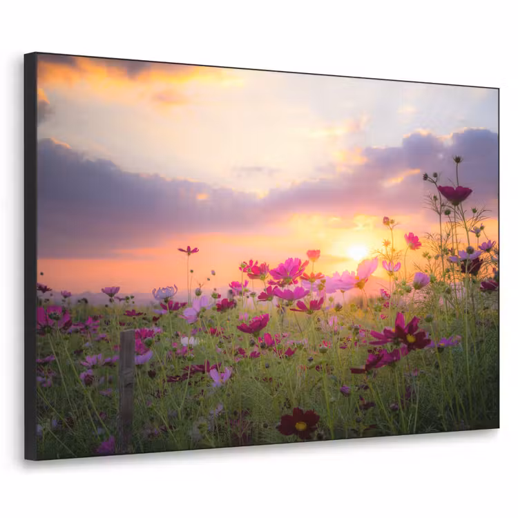 Bloemen - Roze - Zonsondergang - Natuur - Weide - Horizon Textielframe zwart klein -3d