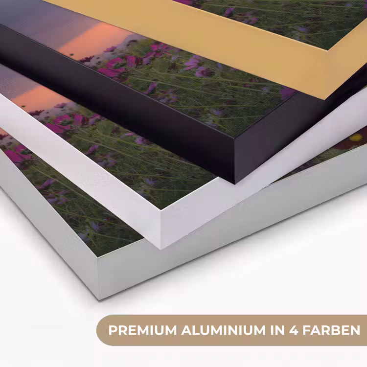 Bloemen - Roze - Zonsondergang - Natuur - Weide - Horizon Textielframe zwart klein -USP_kleurenDE