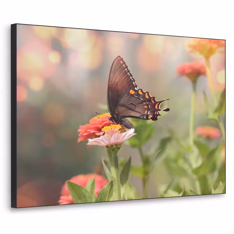 Bloemen - Vlinder - Natuur - Bloem Textielframe zwart klein -3d