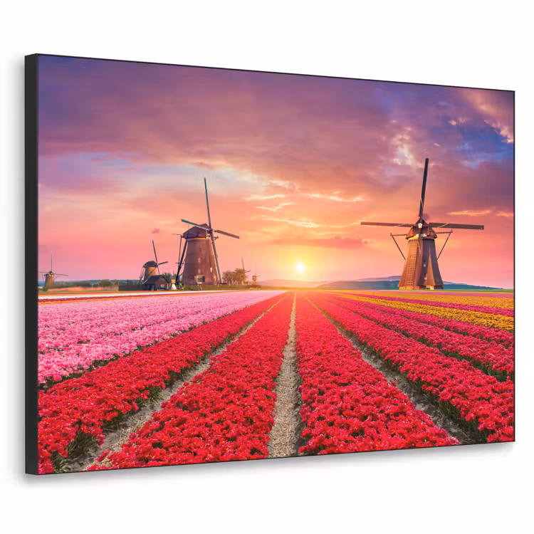 Bloemen - Tulpen - Bloemenveld - Molens - Holland Textielframe zwart klein -3d