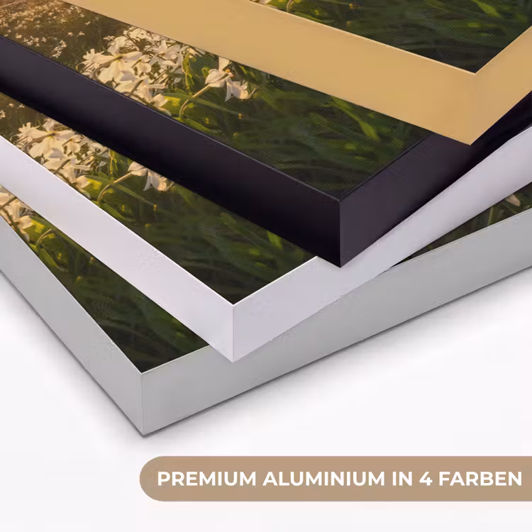 Bloemenveld - Heuvels - Zonsondergang - Berg - Natuur - Wit - Heuvels Textielframe zwart klein -USP_kleurenDE