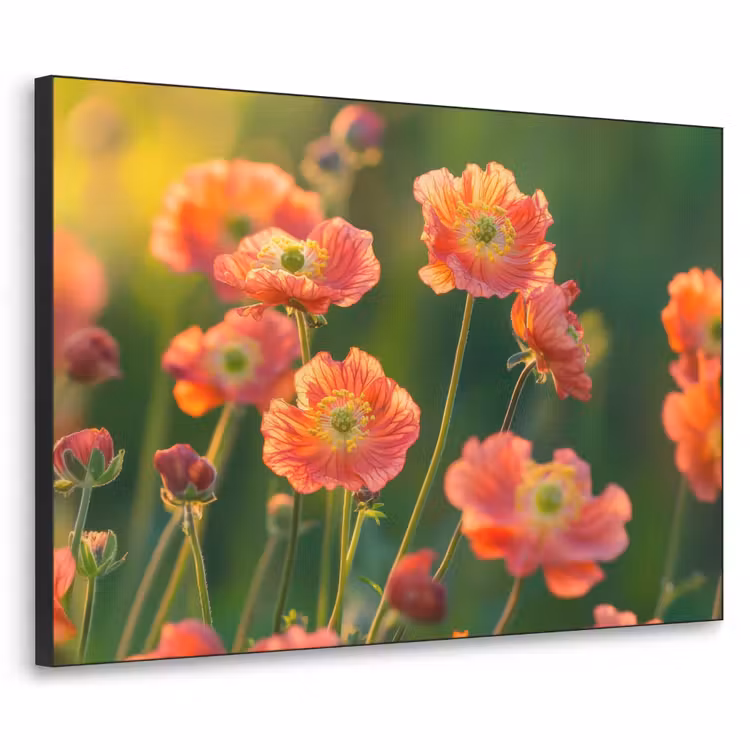 Bloemenveld - Zonnestralen - Oranje Textielframe - compleet frame klein -3d