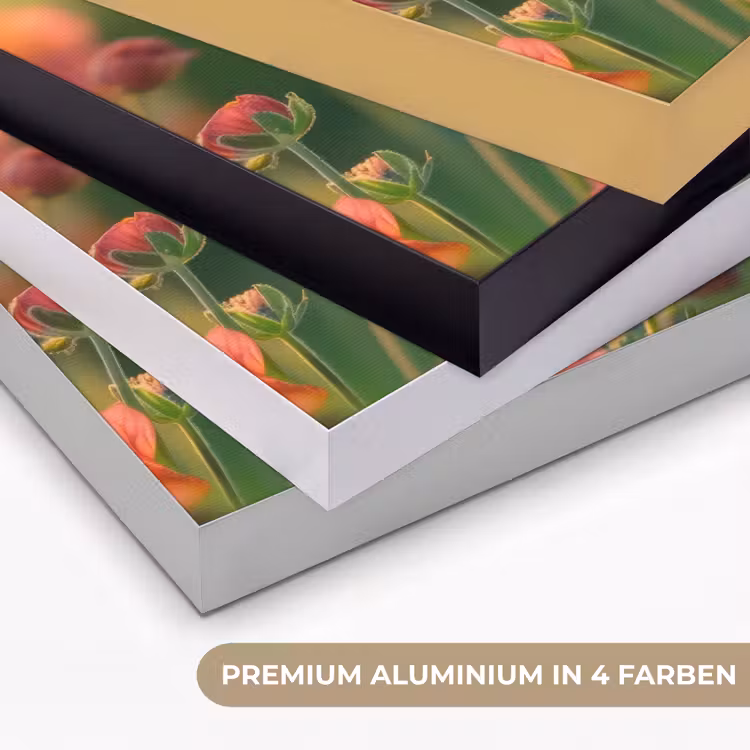 Bloemenveld - Zonnestralen - Oranje Textielframe zwart klein -USP_kleurenDE