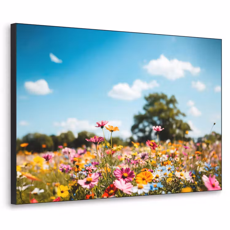 Bloemenweide - Blauw - Lucht - Kleuren Textielframe zwart klein -3d