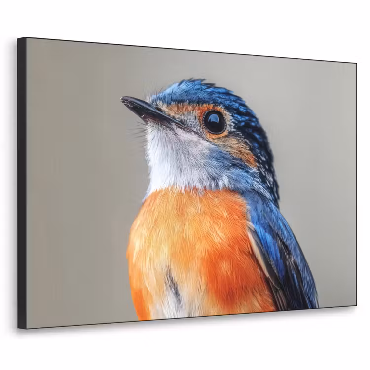 Kleurrijk - Vogeltje - Veren - Blauw Textielframe - compleet frame klein -3d