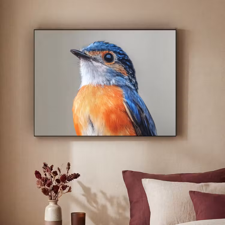 Kleurrijk - Vogeltje - Veren - Blauw Textielframe zwart klein -sfeer1