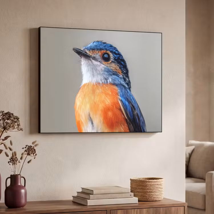 Kleurrijk - Vogeltje - Veren - Blauw Textielframe zwart klein -sfeer3