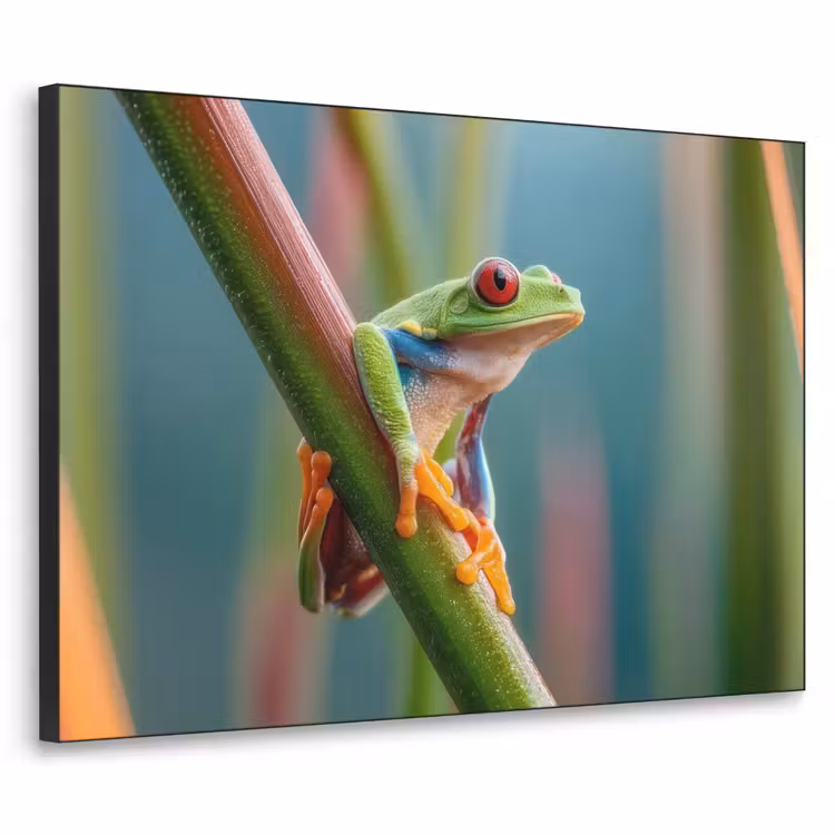 Kleurrijke kikker - Groene stengel - Alert Textielframe zwart klein -3d