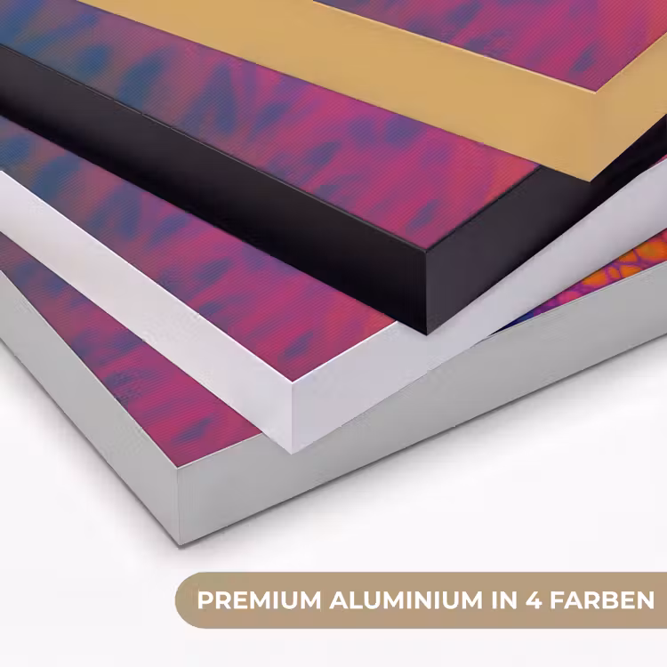 Kameleon - Dieren - Neon - Kleur Textielframe zwart klein -USP_kleurenDE