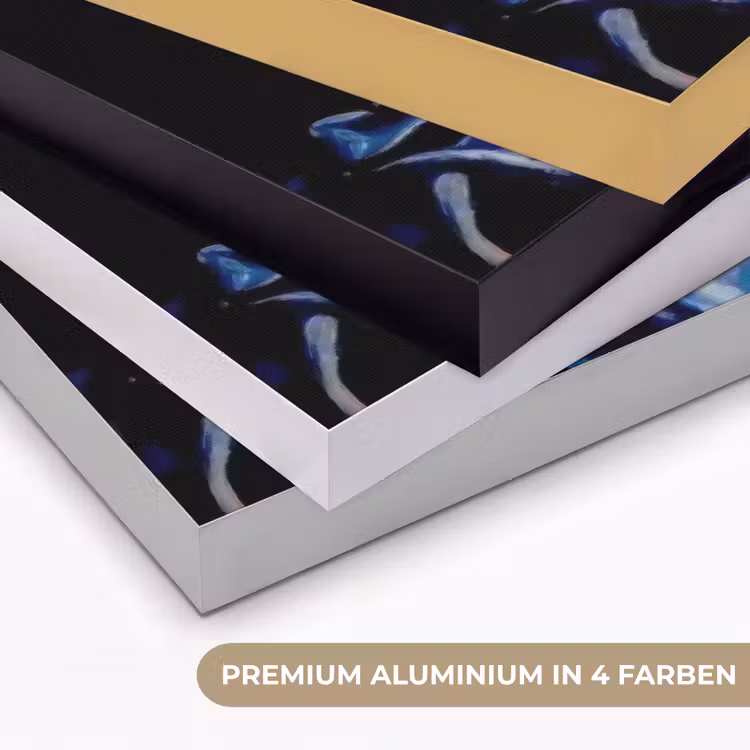 Champagne - Luxe - Oesters Textielframe zwart klein -USP_kleurenDE