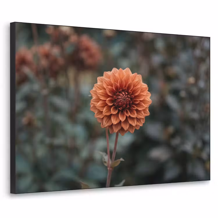 Dahlia - Bloem - Natuur - Sfeervol Textielframe zwart klein -3d
