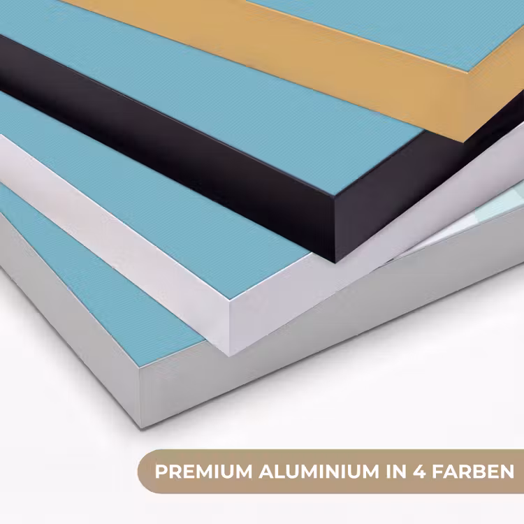 Ijsbeer - Lichtblauw - Minimalistisch Textielframe zwart klein -USP_kleurenDE