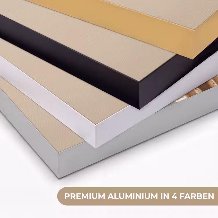 IJs - Softijs - Romig - Hoorntje - Beige Textielframe zwart klein -USP_kleurenDE