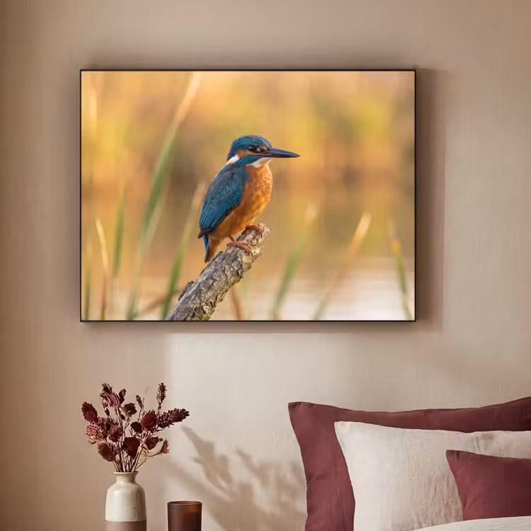 IJsvogel - Tak - Water - Kleurrijk - Levendig Textielframe zwart klein -sfeer1