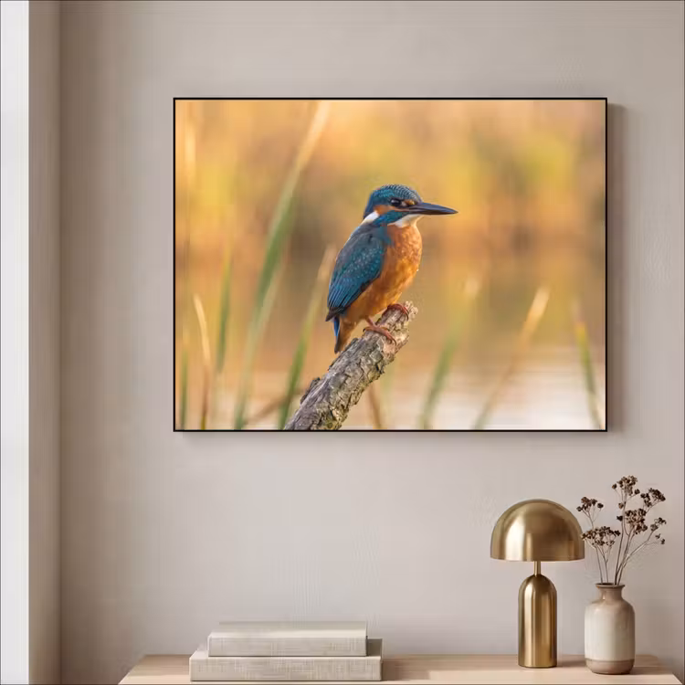 IJsvogel - Tak - Water - Kleurrijk - Levendig Textielframe zwart klein -sfeer2
