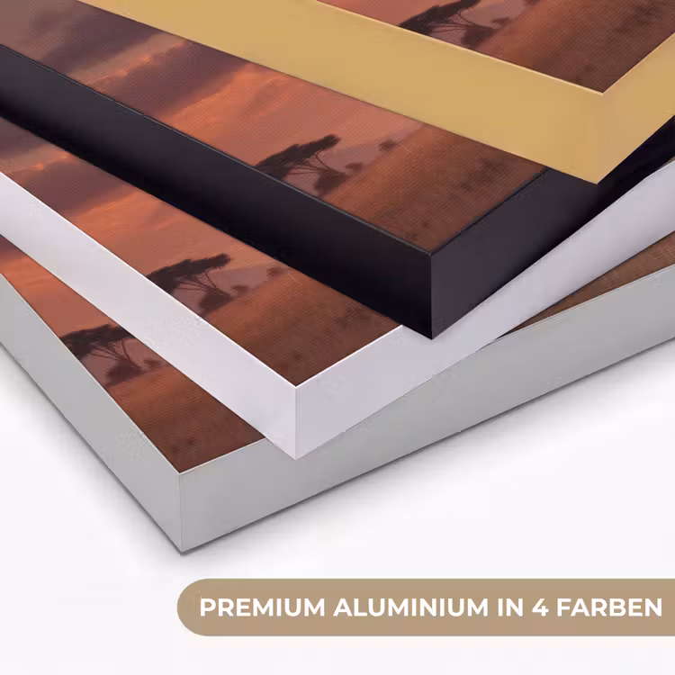 Olifanten - Grasland - Zonsondergang Textielframe zwart klein -USP_kleurenDE