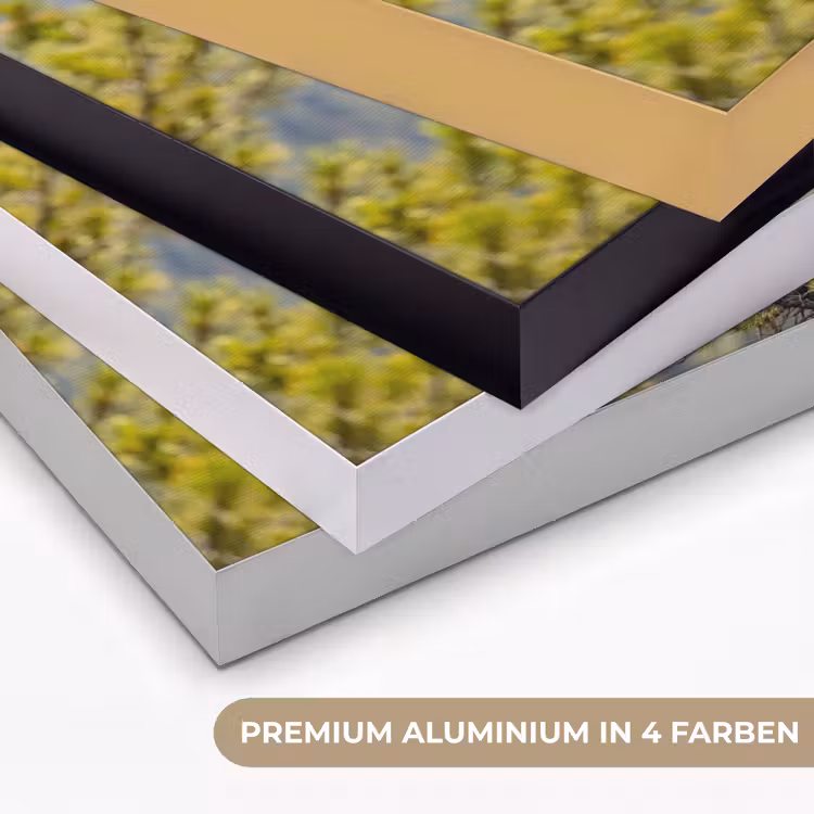 Uil - Oehoe - Bomen - Natuur Textielframe zwart klein -USP_kleurenDE