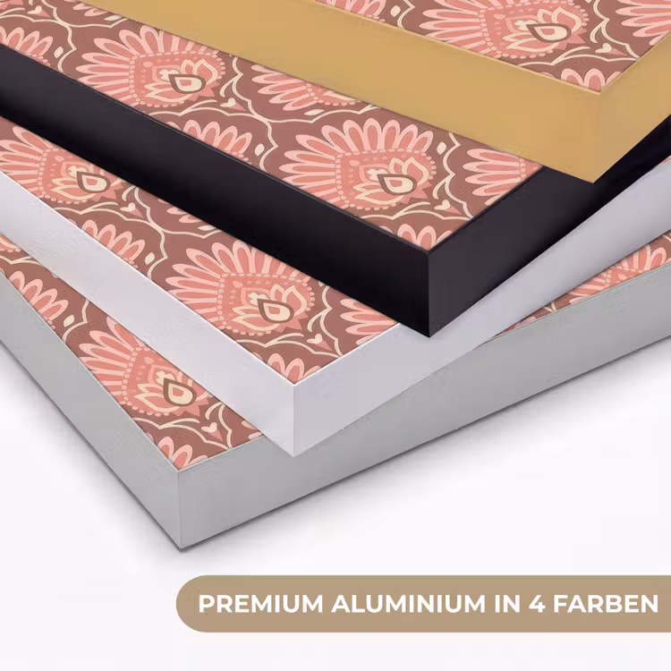Waaiermotief - Patroon - Roze Textielframe zwart klein -USP_kleurenDE
