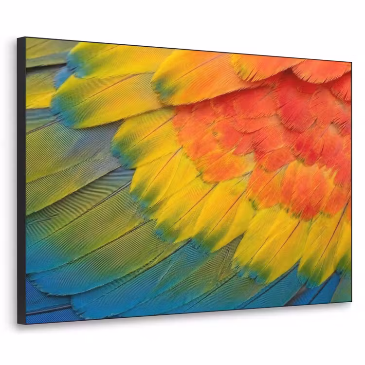 Veren - Ara - Kleurrijk Textielframe zwart klein -3d
