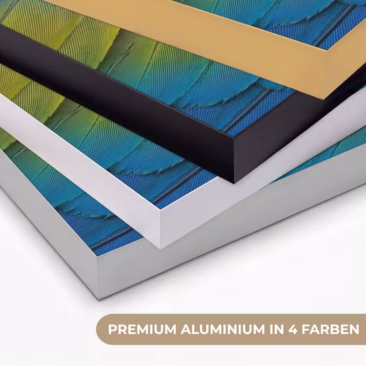Veren - Ara - Kleurrijk Textielframe zwart klein -USP_kleurenDE
