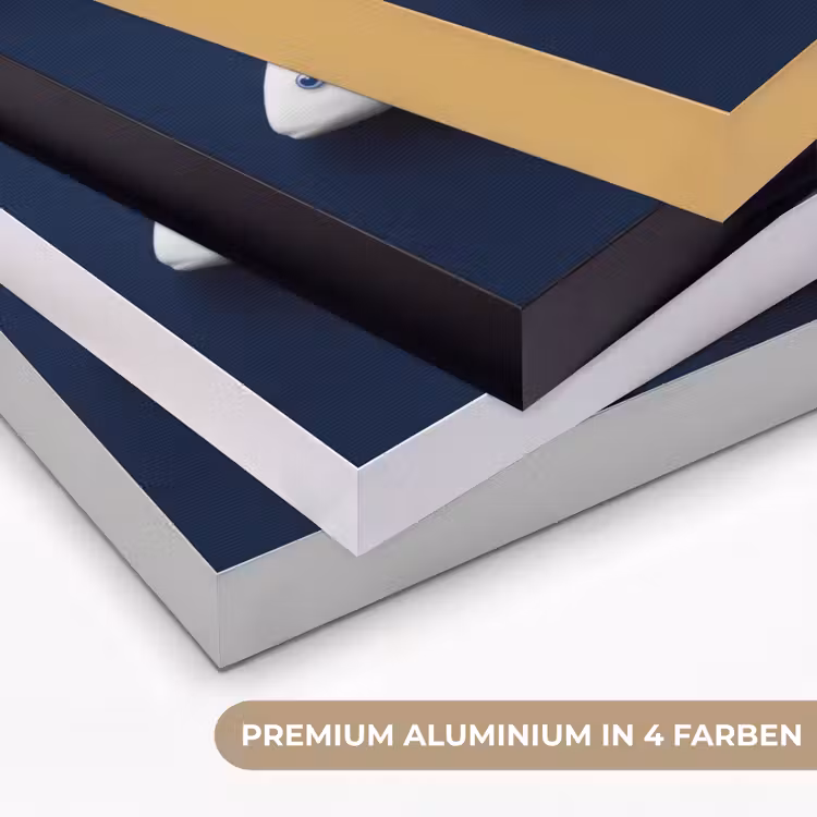 Art Frame - Fisch - Delfter Porzellan - Keramiken - Vissen - Delfts - Blauw - Keramiek Textielframe zwart klein