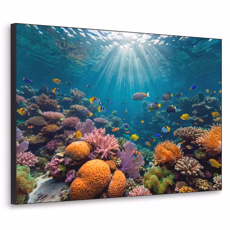 Vis - Koraal - Oceaan - Natuur - Kleurrijk Textielframe zwart klein -3d