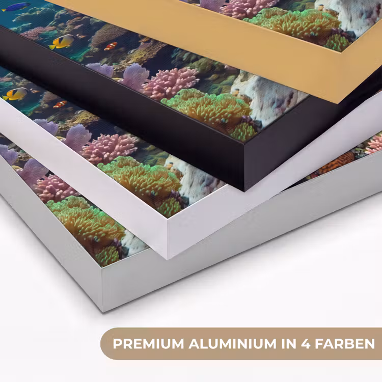 Vis - Koraal - Oceaan - Natuur - Kleurrijk Textielframe zwart klein -USP_kleurenDE