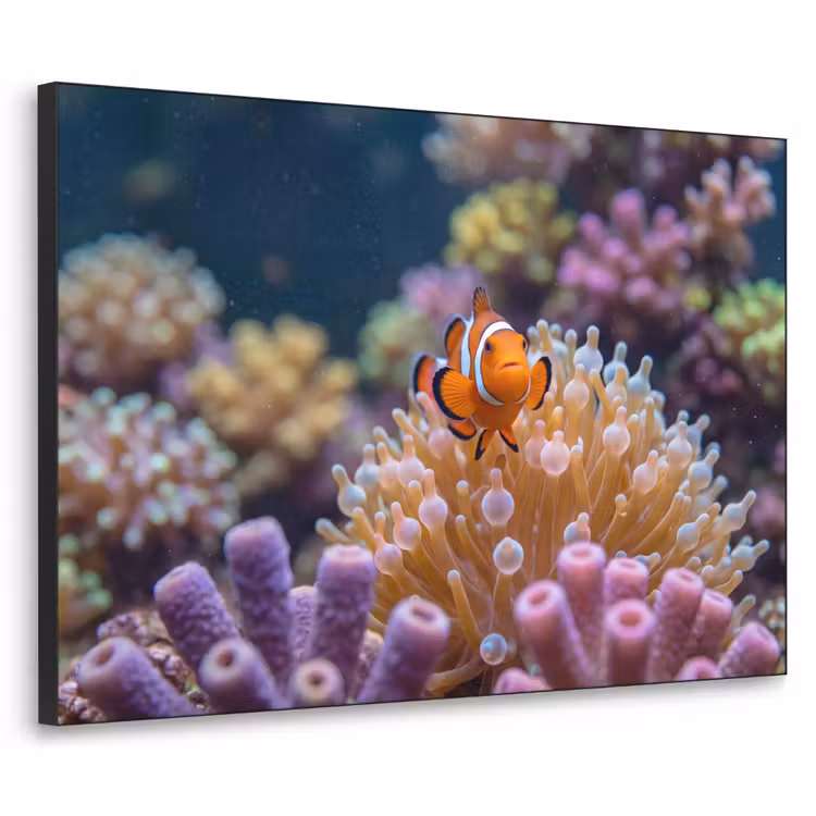 Vis - Koraal - Onderwater - Oranje - Dieren Textielframe zwart klein -3d