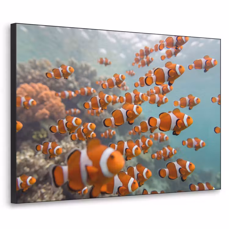 Vis - School - Onderwater - Dieren - Oranje Textielframe zwart klein -3d