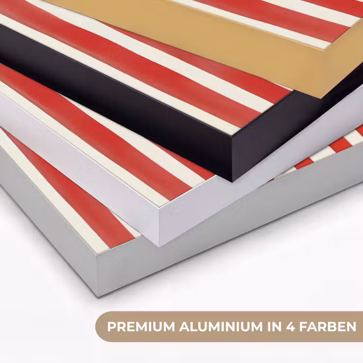 Vissen - Verticale strepen - Blauw - Rood Textielframe zwart klein -USP_kleurenDE