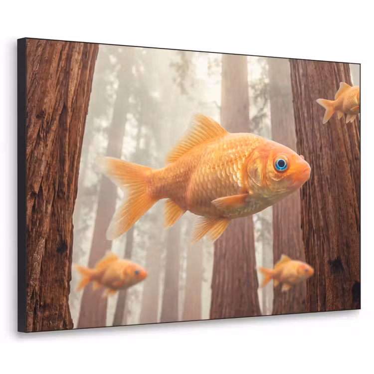 Art Frame - Fisch – Wald – Fantasie - Vis - Bos - Fantasie Textielframe zwart klein