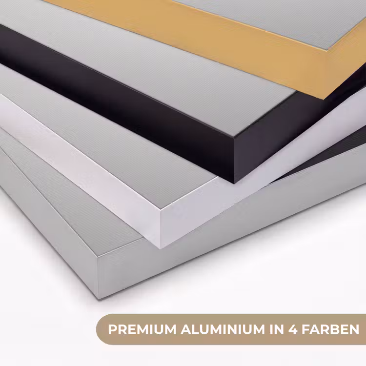 Vrouw - Champagne - Modern Textielframe zwart klein -USP_kleurenDE