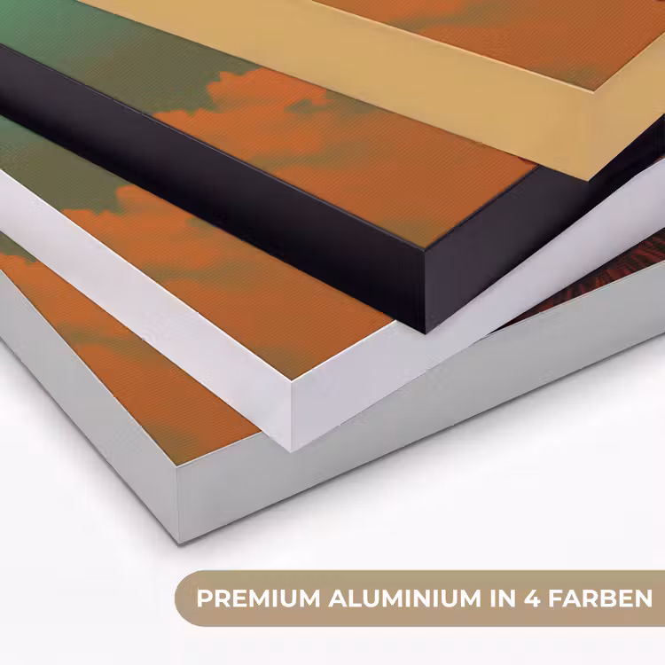 Vrouw - Frambozen - Bladeren Textielframe zwart klein -USP_kleurenDE