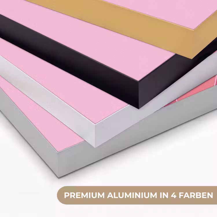 Vrouw - Lichaam - Abstract - Roze Textielframe zwart klein -USP_kleurenDE