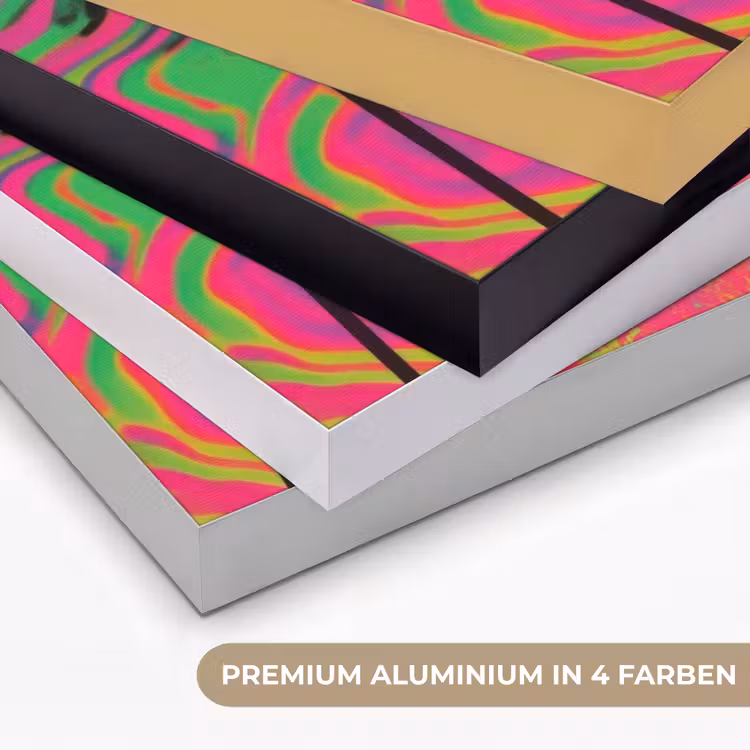Vrouw - Microfoon - Neon Textielframe zwart klein -USP_kleurenDE