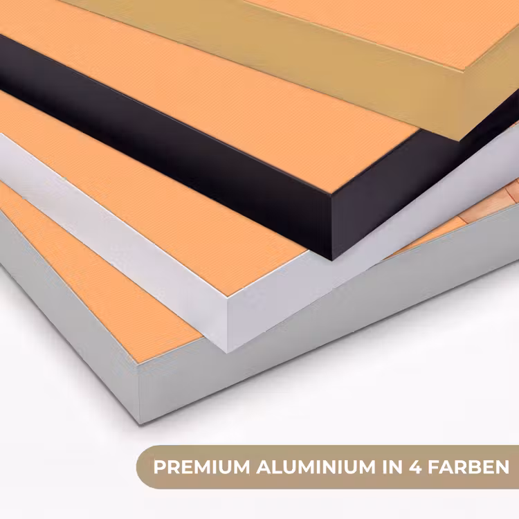Vrouw - Profiel - Mensen - Modern - Oranje Textielframe zwart klein -USP_kleurenDE