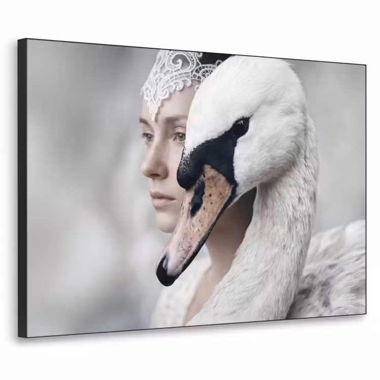 Vrouw - Zwaan - Wit Textielframe zwart klein -3d