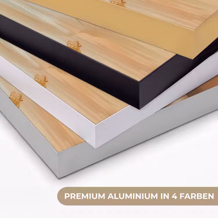 Vrouwen - Portret - Luxe - Goud Textielframe zwart klein -USP_kleurenDE
