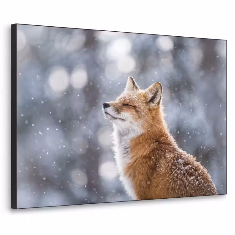 Vos - Sneeuwval - Portret - Winter - Sfeervol Textielframe zwart klein -3d