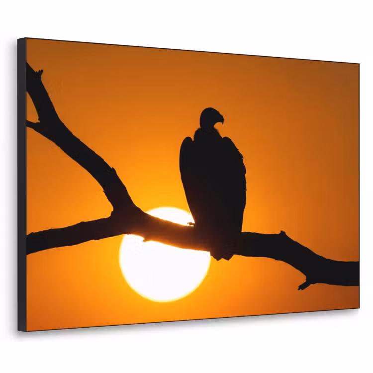 Gier - Tak - Zon - Oranje Textielframe zwart klein -3d