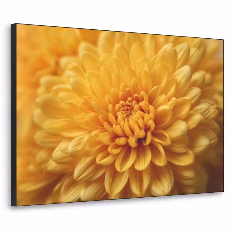 Geel - Chrysant - Zachtheid Textielframe - compleet frame klein -3d