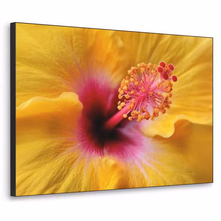 Geel - Hibiscus - Tropisch Textielframe - compleet frame klein -3d